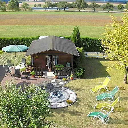Koelzer 4* Morsdorf